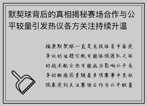 默契球背后的真相揭秘赛场合作与公平较量引发热议各方关注持续升温
